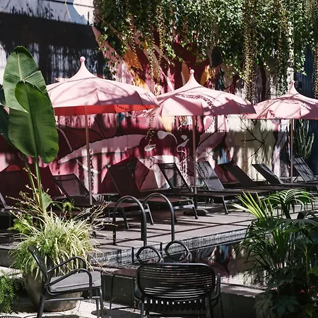 - Member Of Design ליסבון