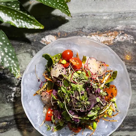 - Member Of Design 4*