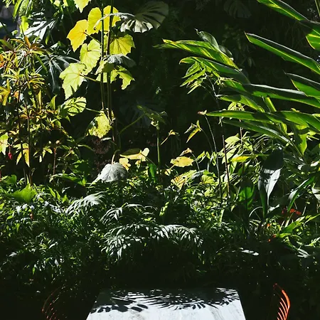 - Member Of Design 4*