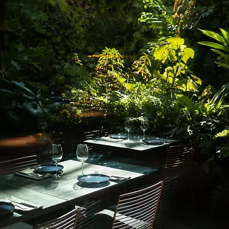 - Member Of Design Hotel Lissabon