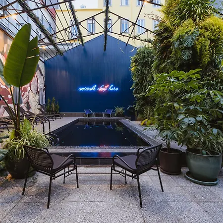 - Member Of Design Lissabon