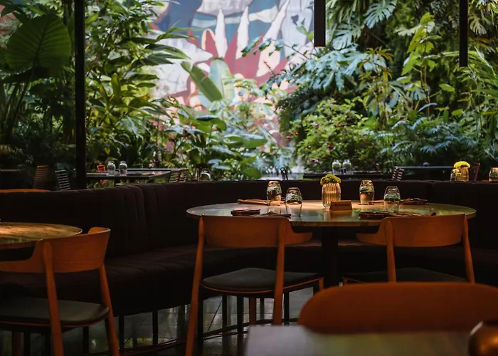 - Member Of Design Lissabon