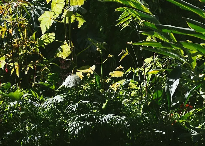 - Member Of Design 4*