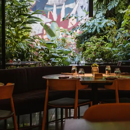 - Member Of Design Lisboa