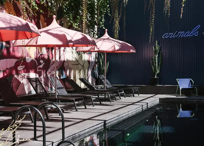 - Member Of Design 4* Lisboa